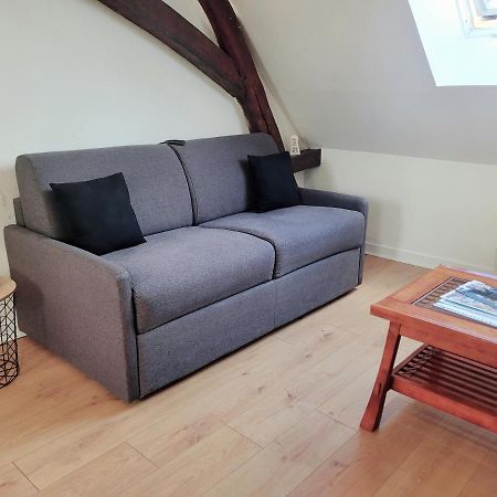 Appartement Au Centre Ville De Санс Екстер'єр фото